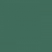 Фон бумажный Colorama Spruce Green (елово зеленый) 2,72x11 м