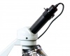 Цифровая камера Celestron для микроскопа 2 Мп