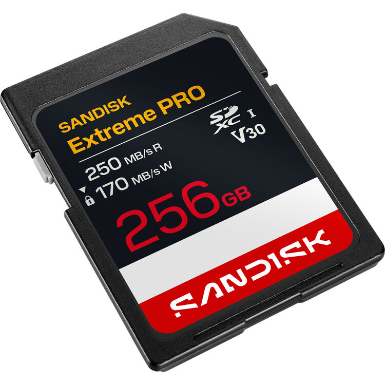 Карта памяти SDXC SanDisk Extreme Pro 256GB UHS-I, C10, U3, V30 (SDSDXXJ-256G-GSCIN)  R250/W170