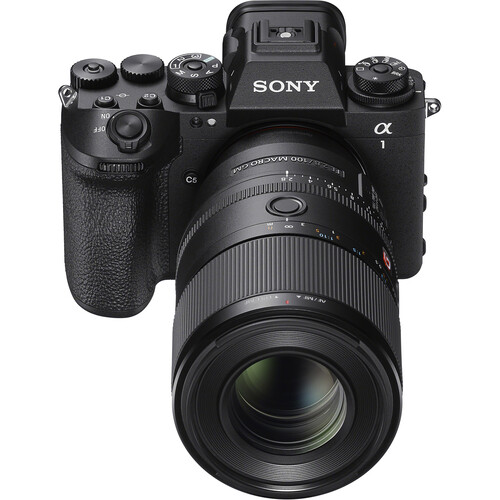 Объектив Sony FE 100mm f/2.8 Macro GM (SEL100M28GM)