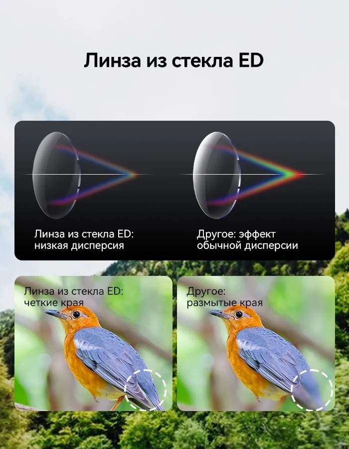 Бинокль SVBONY SV202 8x32 ED (W9310A)