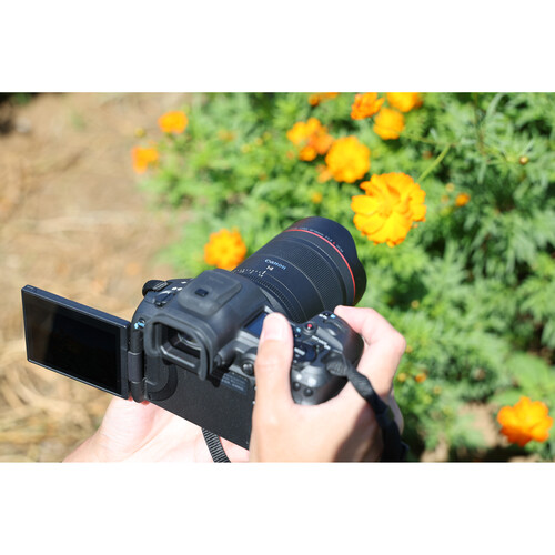 Объектив Canon RF 14mm f/1.4 L VCM