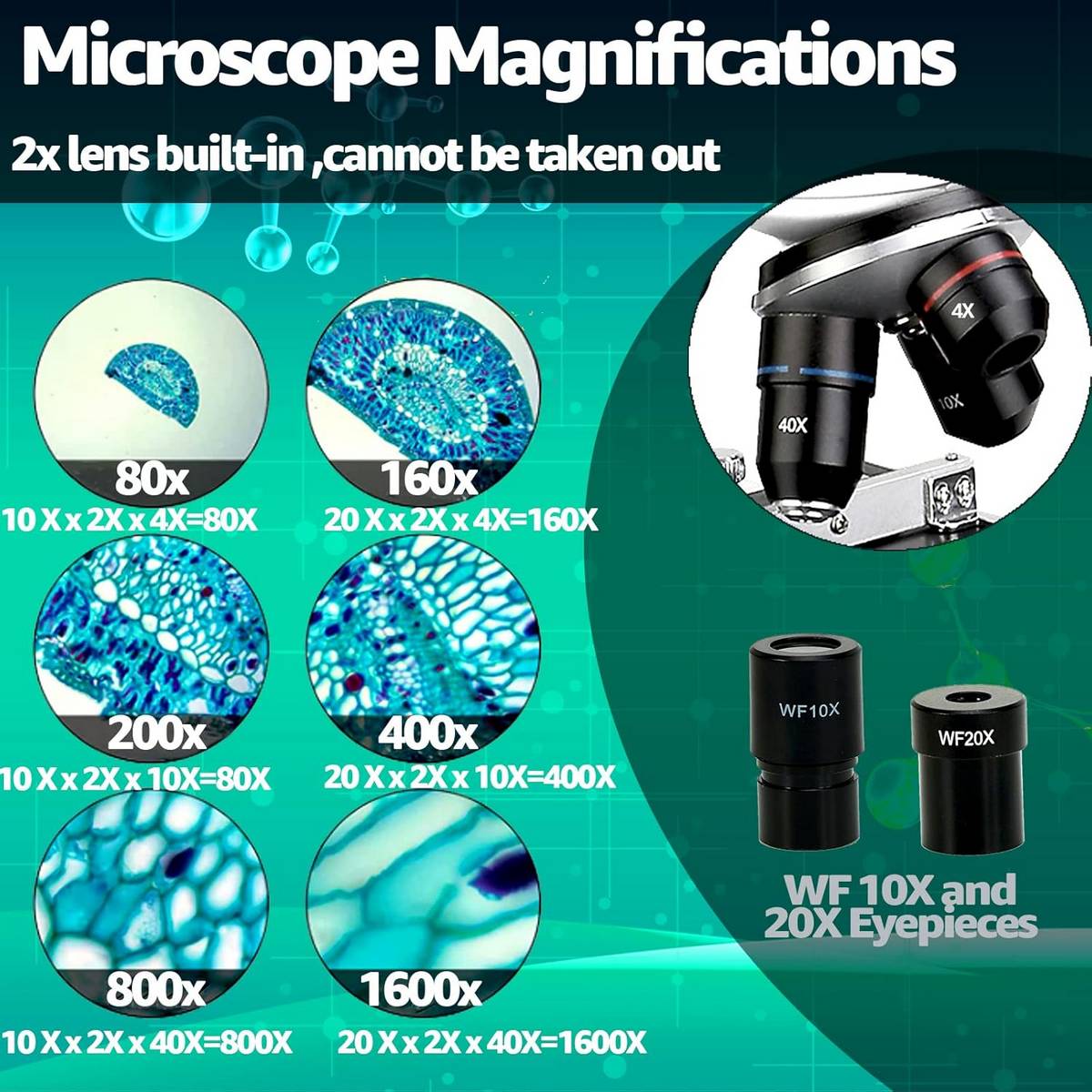 Микроскоп школьный SVBONY SV605 80-1600x (F9370A)