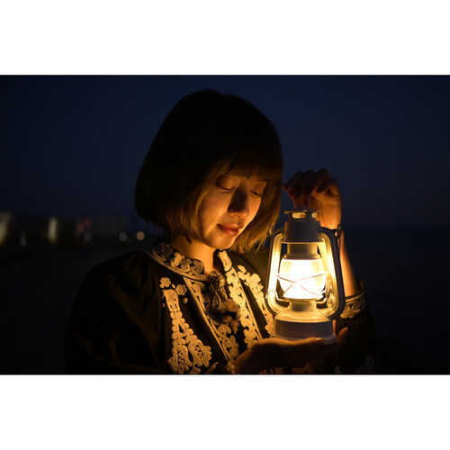 Объектив Nikon Z DX 24mm f/1.7 Nikkor