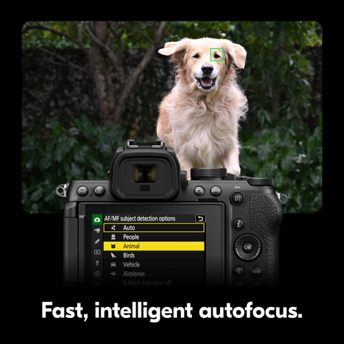 Цифровой фотоаппарат Nikon Z5 II Body (Multi-language, Russian)