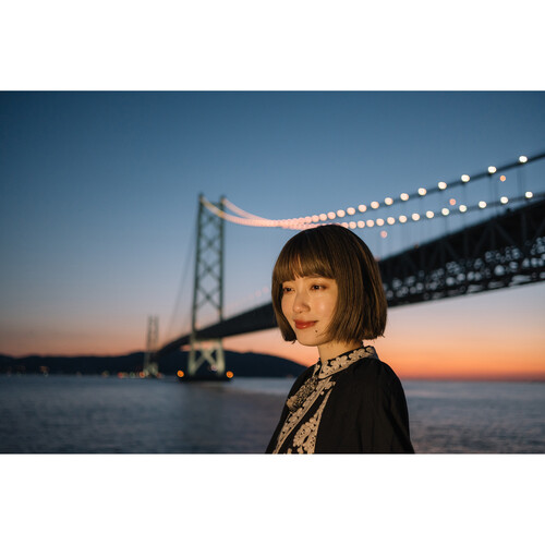 Объектив Nikon Z DX 24mm f/1.7 Nikkor