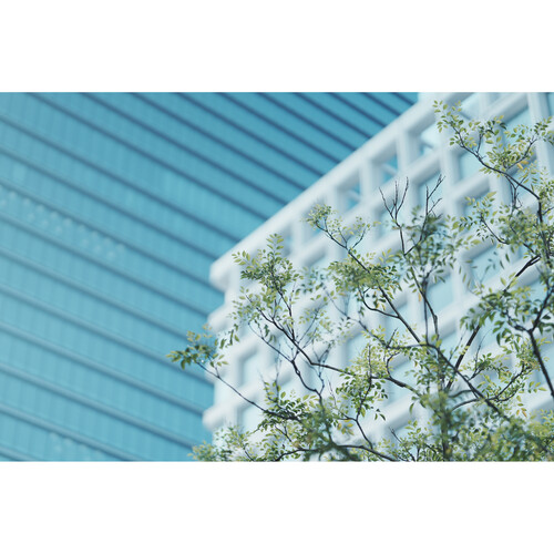 Объектив Sony FE 85mm f/1.4 GM II (SEL85F14GM2)