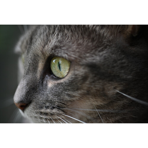 Объектив Nikon Z DX 35mm f/1.7 Nikkor