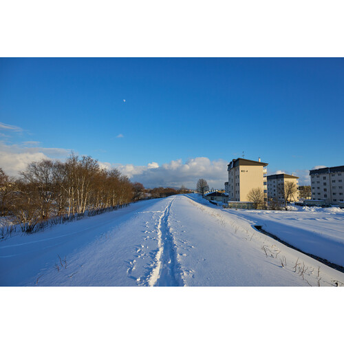 Объектив Sigma 15mm f/1.4 DC Contemporary для Sony E