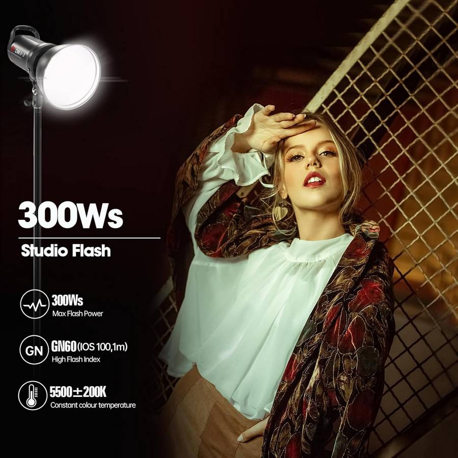Импульсный осветитель JINBEI DMII-3 (300Вт)