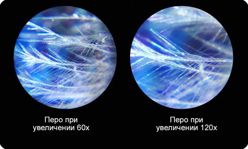 Монокулярный микроскопом Celestron 60x-120x (S82105) с подсветкой