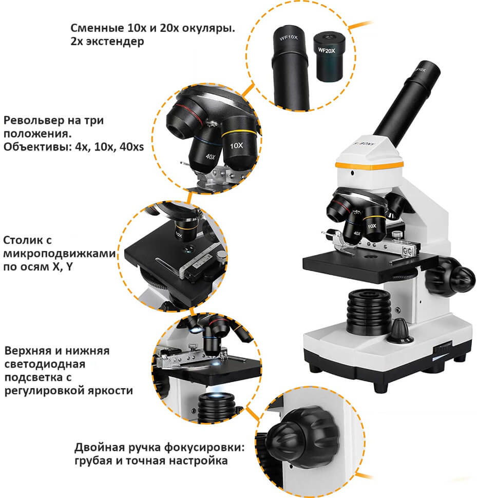 Микроскоп школьный SVBONY SV601 80-1600x (F9365A)