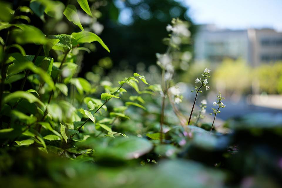 Объектив Sigma 35mm f/1.4 DG DN Art for Sony e-mount