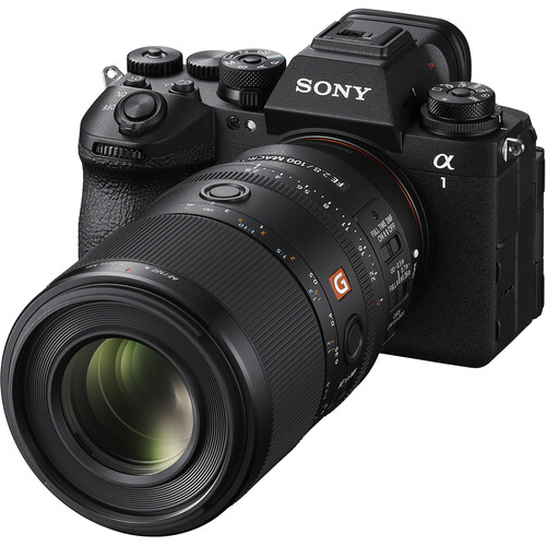 Объектив Sony FE 100mm f/2.8 Macro GM (SEL100M28GM)
