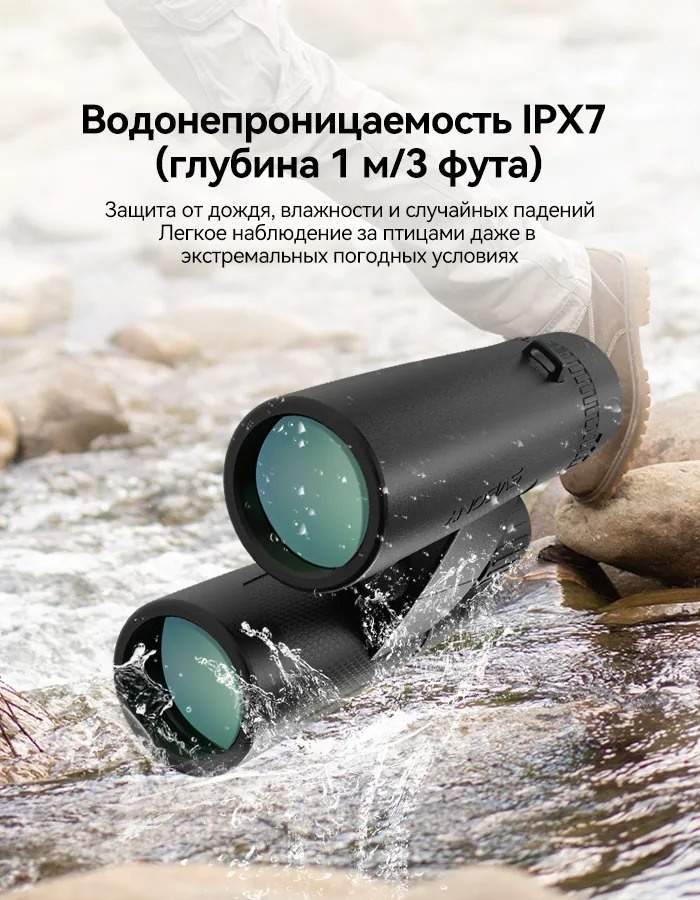 Бинокль SVBONY SV202 8x32 ED (W9310A)