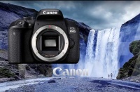 Примеры фотографий с инновационной зеркалки Canon EOS 800D
