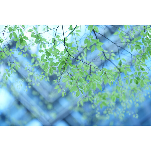 Объектив Sony FE 85mm f/1.4 GM II (SEL85F14GM2)