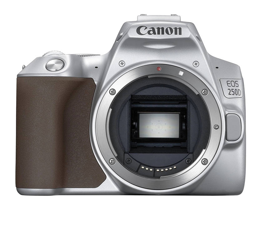 Цифровой фотоаппарат Canon EOS 250D Kit (EF-S 18-55mm f/4-5.6 IS STM) Silver