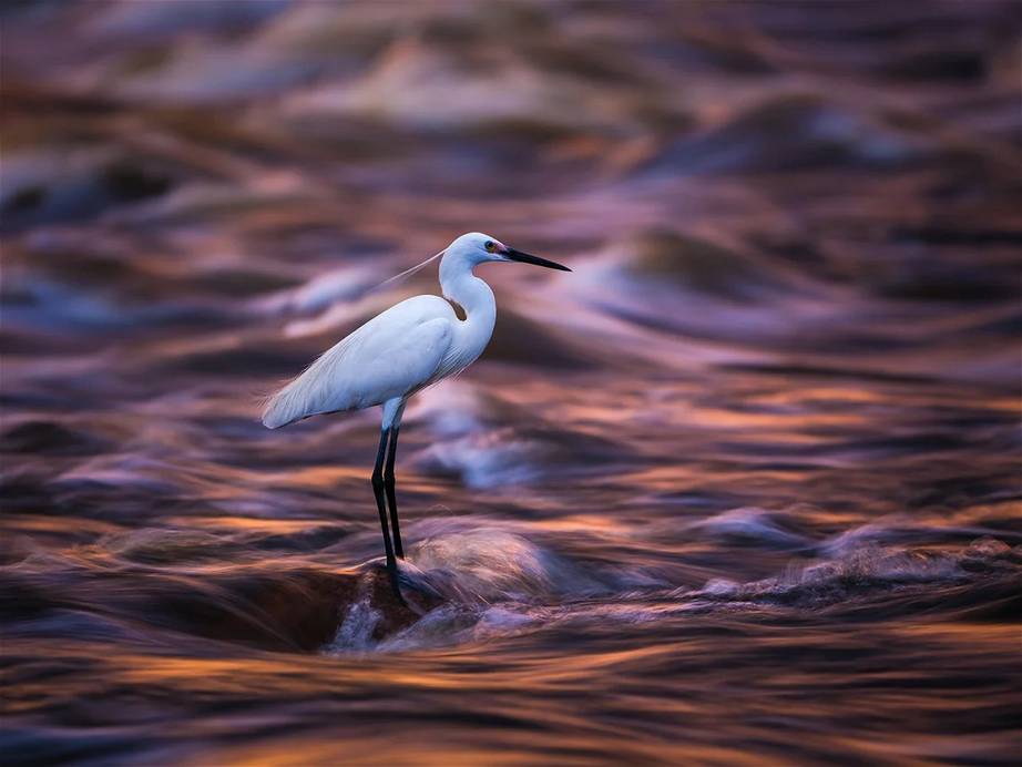 Объектив FUJIFILM GF 500mm f/5.6 R LM OIS WR