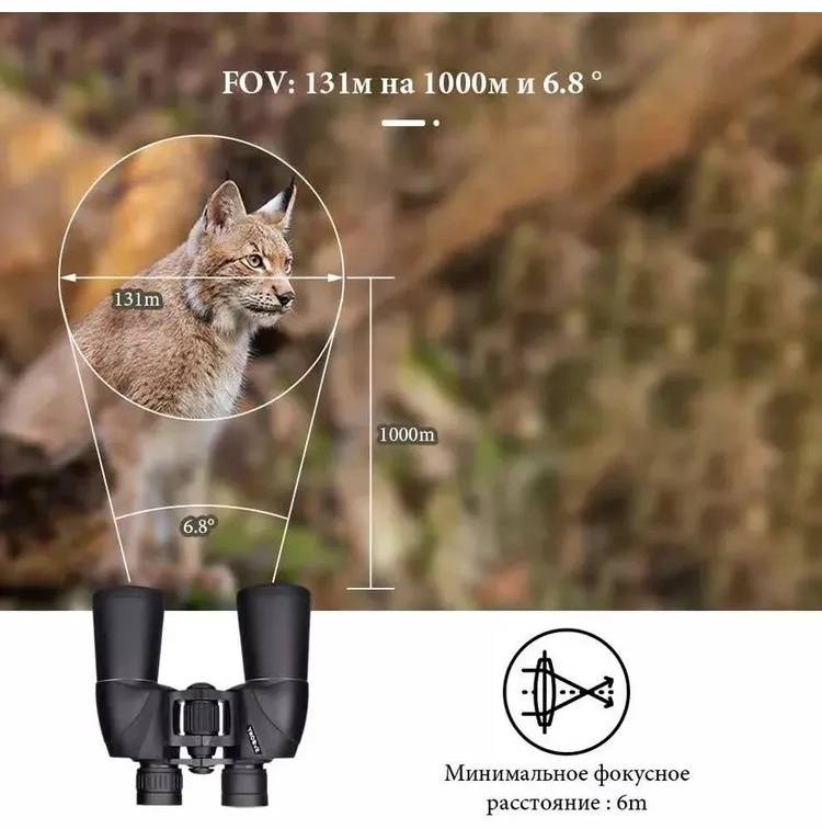Бинокль SVBONY SV206 10x50 (F9364A)