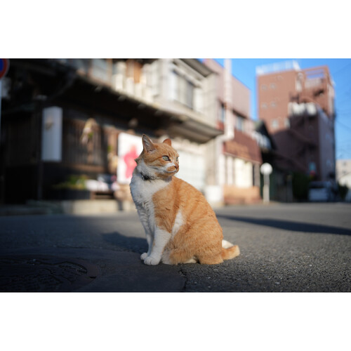 Объектив Sigma 35mm f/1.4 DG II Art for Sony e-mount
