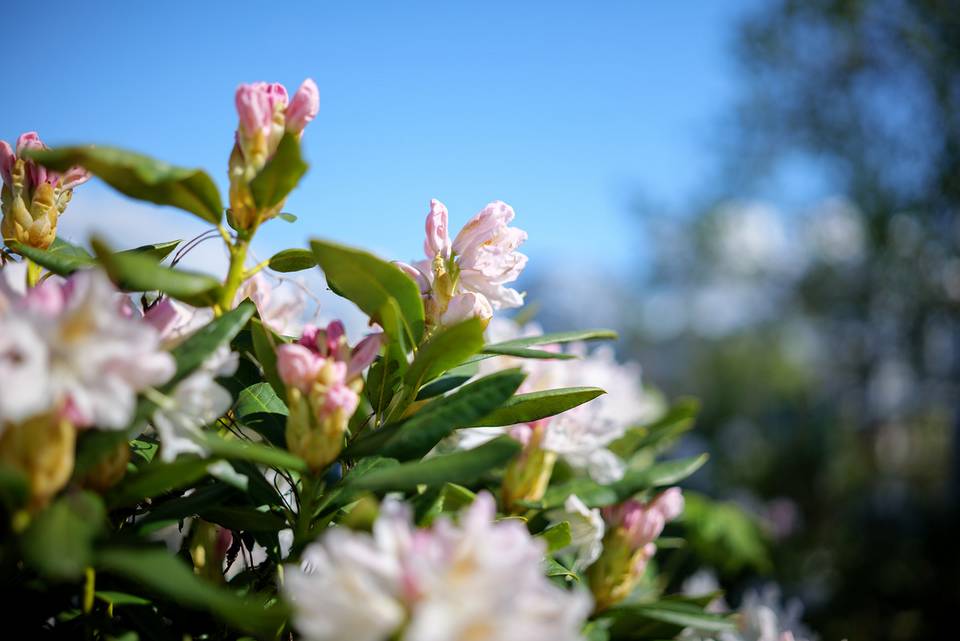 Объектив Sigma 35mm f/1.4 DG DN Art for Sony e-mount