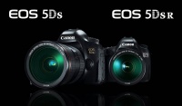 Как работает зеркало в новых зеркальных фотоаппаратах Canon