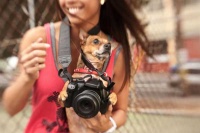 Объектив Lensbaby Spark