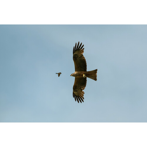 Объектив FUJIFILM XF 400mm f/4.5 R LM OIS WR