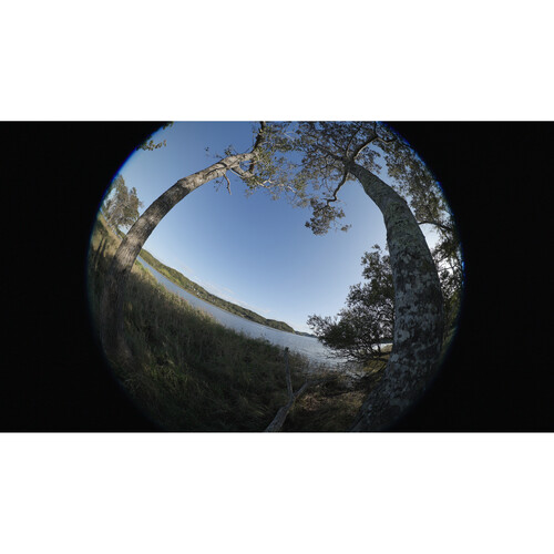 Объектив Canon RF 7-14mm f/2.8-3.5 L Fisheye STM