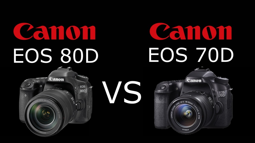 Canon 77D vs Canon 80D