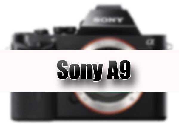Sony A9