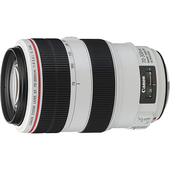 Объектив Canon EF 70-300mm f/4-5.6L IS USM