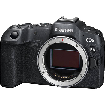 Цифровой фотоаппарат Canon EOS R8 Body (гарантия 2 года)