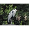 Цифровой фотоаппарат Nikon COOLPIX P1100 Black