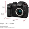 Цифровой фотоаппарат Panasonic Lumix DC-GH5S Body Black
