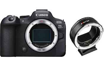 Цифровой фотоаппарат Canon EOS R6 Mark II Body + Adapter VILTROX EF-EOS R (гарантия 2 года)