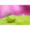 Объектив Tamron 90mm f/2.8 Di III VXD (F072) для Nikon Z
