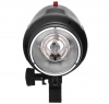 Лампа импульсная для Delicacy II 250 (DII 250)