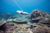Подводный дрон Power Vision PowerRay Explorer Underwater 4K UHD ROV Kit