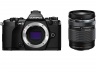 Цифровой фотоаппарат Olympus OM-D E-M5 MARK II kit (M.Zuiko Digital ED 14-150mm f/4-5.6 II) Black