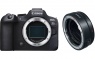 Цифровой фотоаппарат Canon EOS R6 Mark II Body + Canon Mount Adapter EF-EOS R (гарантия 2 года)