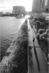 Компактный фотоаппарат RICOH GR III HDF