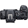 Цифровой фотоаппарат Canon EOS R6 Mark II Kit (RF 24-105mm f/4L IS Nano USM + Mount Adapter EF-EOS R) гарантия 2 года