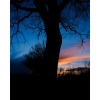 Цифровой фотоаппарат Fujifilm X-T50 kit (XC 15-45mm f/3.5-5.6 OIS PZ) Black