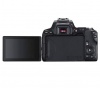 Цифровой фотоаппарат Canon EOS 250D Body Black