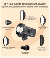 Автономный импульсный осветитель Jinbei HD-250MAX TTL Monolight