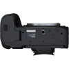 Цифровой фотоаппарат Canon EOS R6 Mark II Kit (RF 24-105mm f/4-7.1 IS STM + Mount Adapter EF-EOS R)
